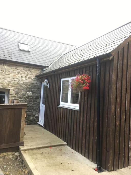 Y Boidy Bach Villa Llangrannog Eksteriør bilde